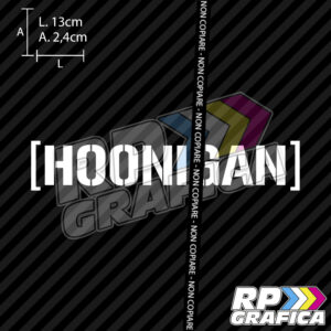 Adesivo Hoonigan