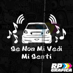 Se non mi vedi mi senti Peugeot 206
