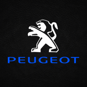Adesivi Peugeot